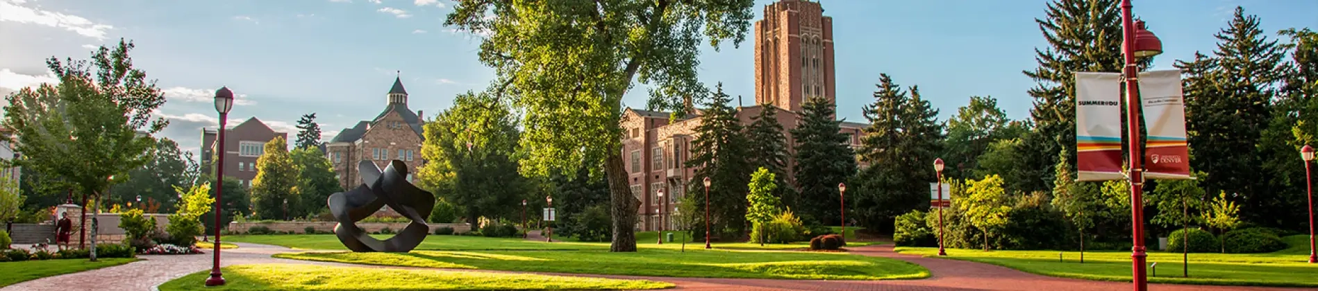 Advancing DEI in Organizations (Global Community Engagement)